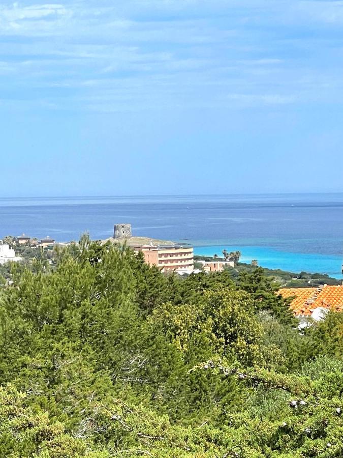Casa Vacanze Stintino Vista Mare Exteriör bild